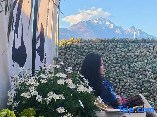 Date jade dragon snow mountain view guest house
