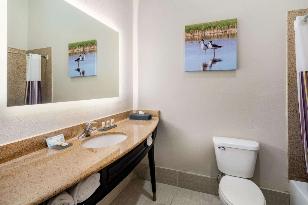 La Quinta Inn & Suites by Wyndham Alamo - McAllen East