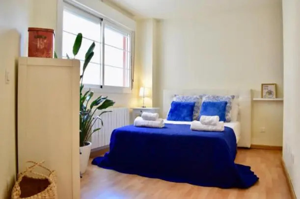 ATOCHA FRIDA HOUSE, Stylish apartment summer swimming pool close metro