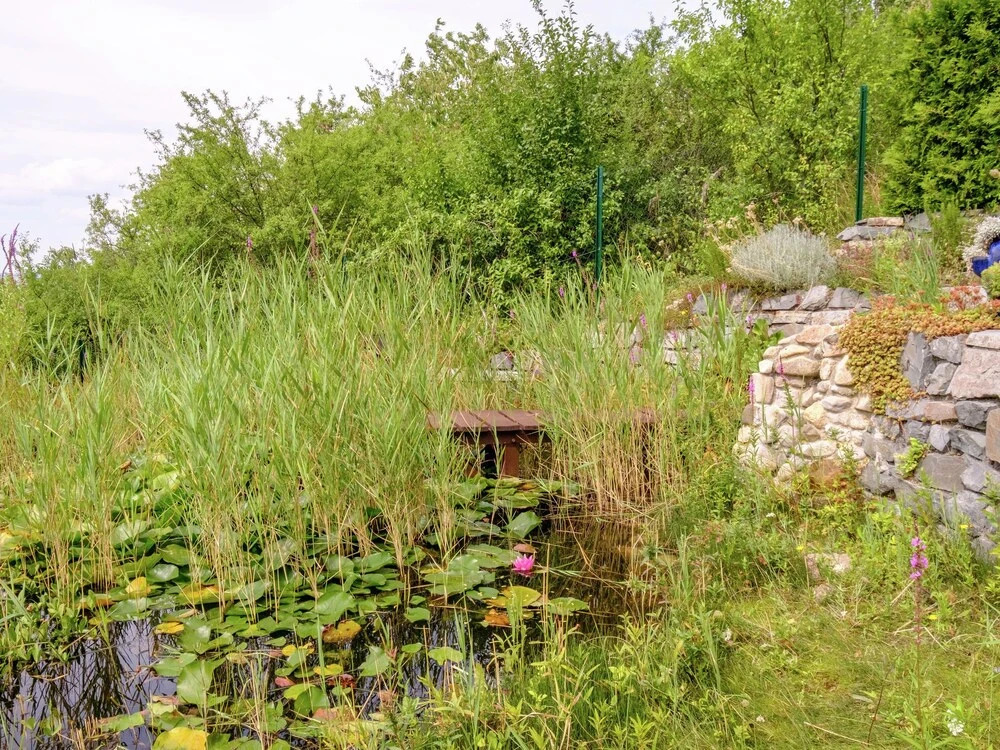 Welcoming Holiday Home in Gernrode With Garden
