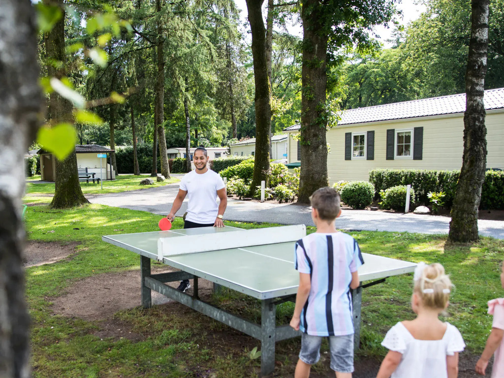 Well-kept chalet with microwave, in a holiday park in the middle of De Veluwe