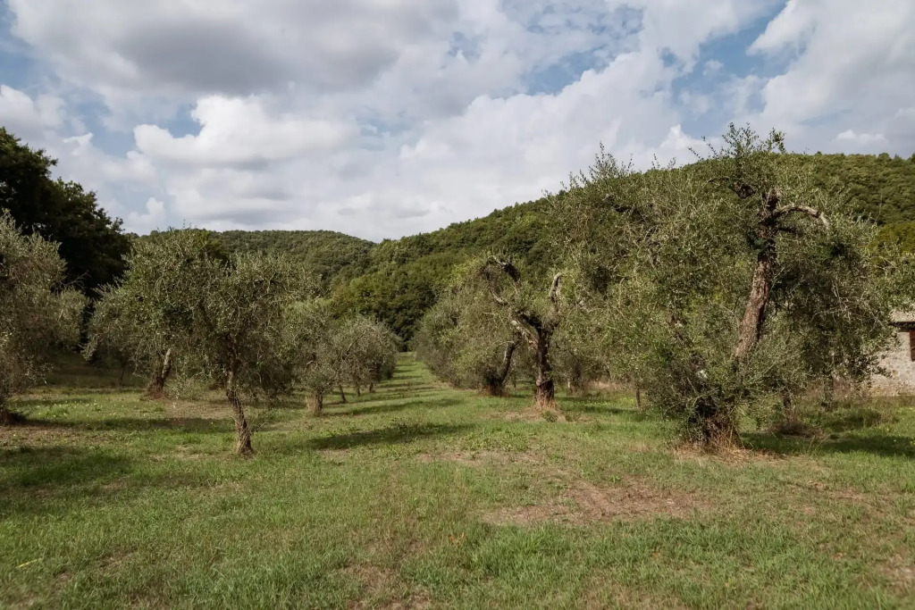 Borgo La Ferriera