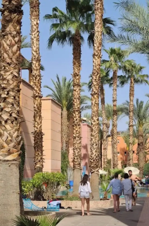 Riad Beni Youssef