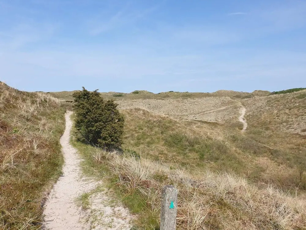 5 Star Holiday Home in Albaek
