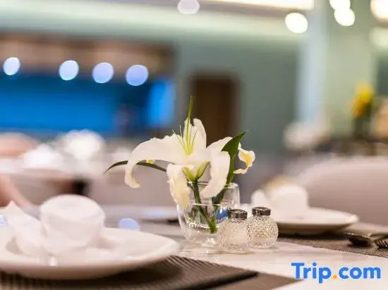 Qinin Hotel (Jiangbei Airport)