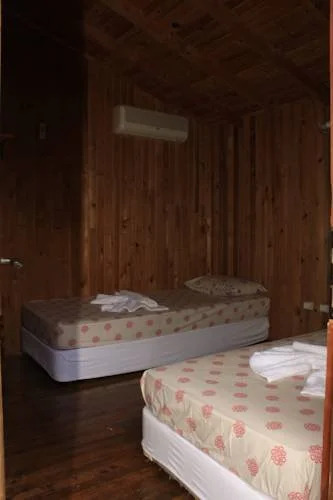 Captain Eudemos House Olympos