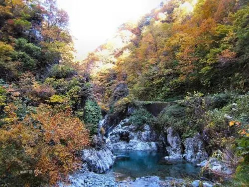 Pension Oz