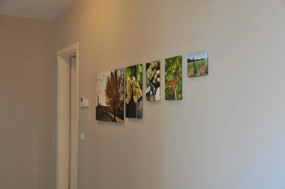 Bed & Breakfast Vieulif