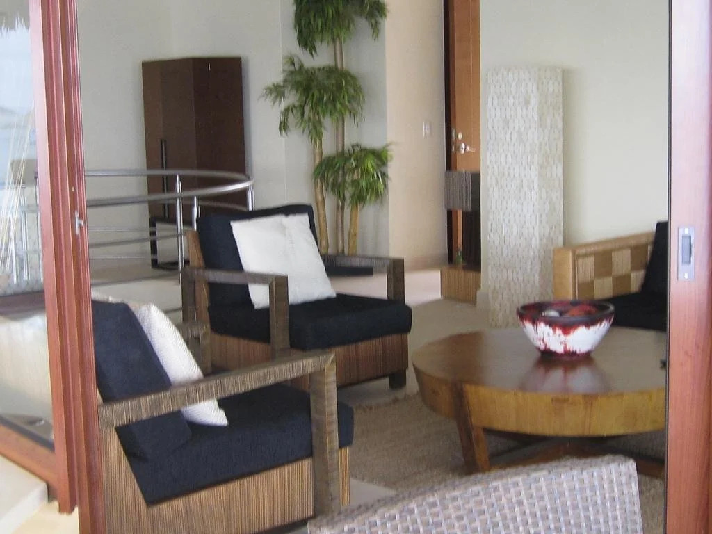 Palmetto Ixtapa 313