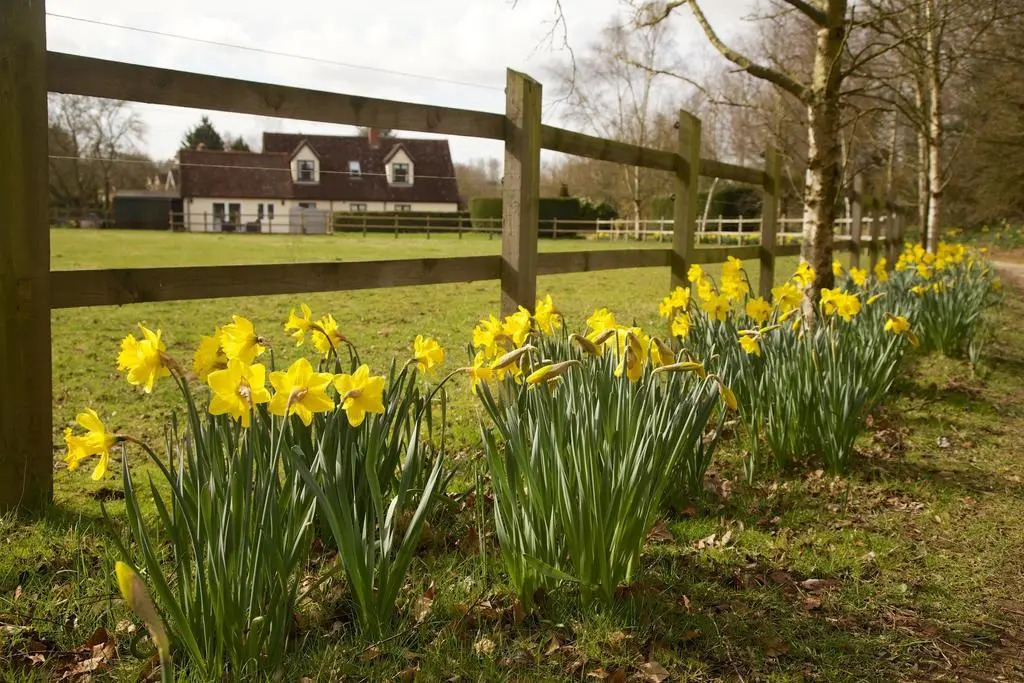 Polstead Lodge