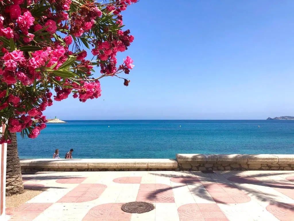 Casa Ines