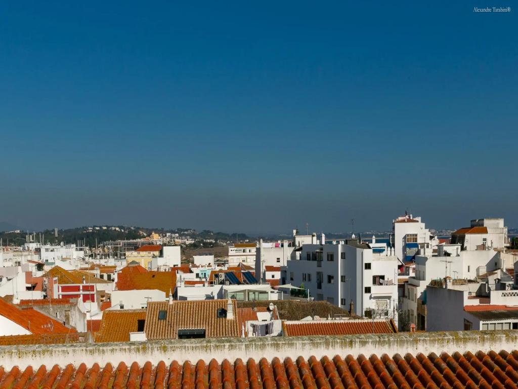 A18 - Chimney Townhouse in Historic Center