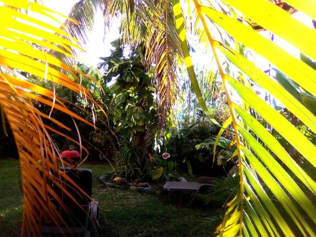 Maison de 2 chambres avec vue sur la mer jardin clos et wifi a Capesterre Belle Eau a 3 km de la plage