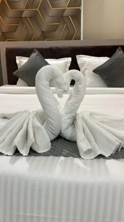Swan Premium