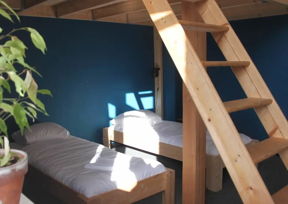 Hostel Roots