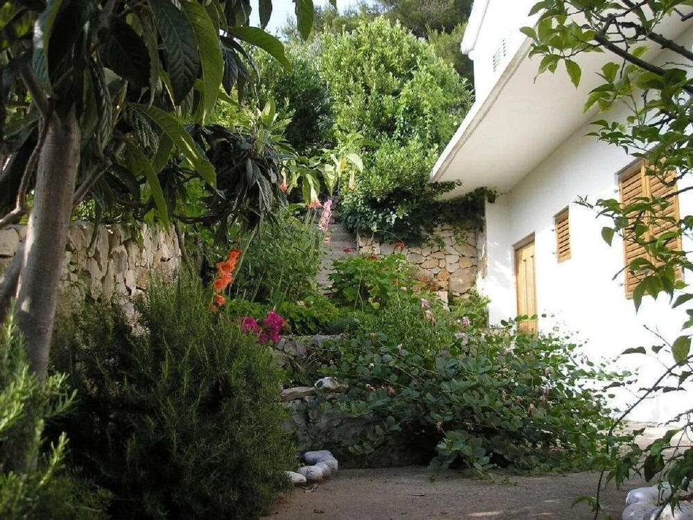 Zelko - With Garden - A1