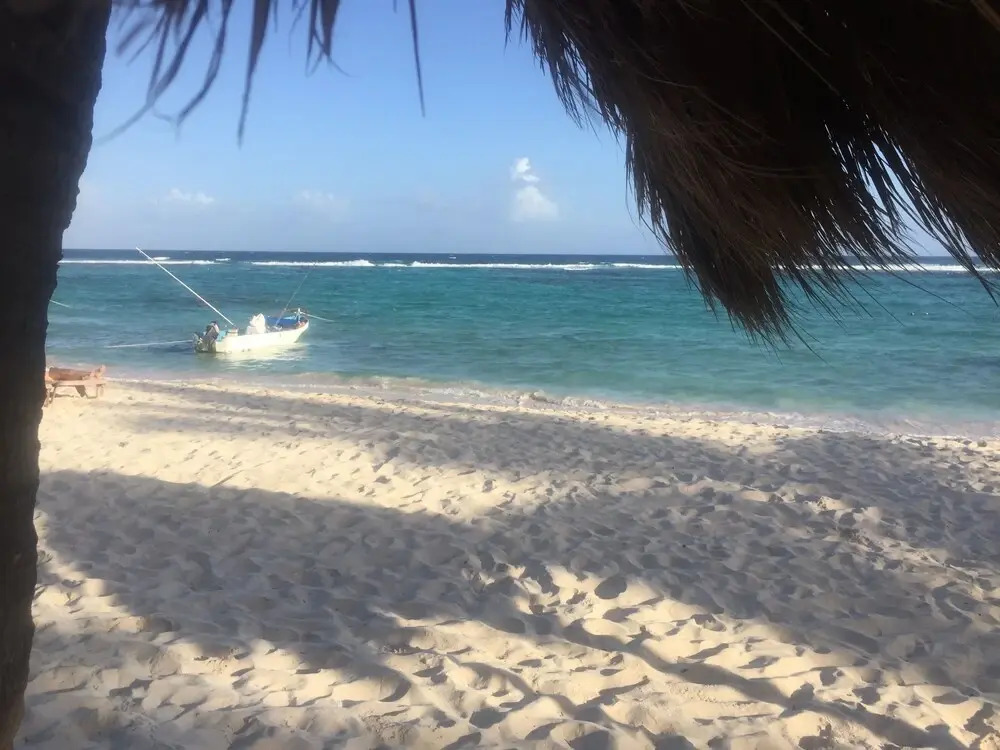 Beachfront Hammock Heaven