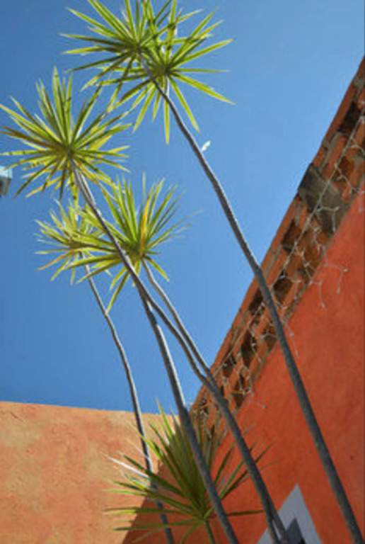 El Jardin