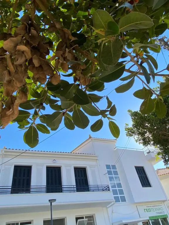 Artelie apartment