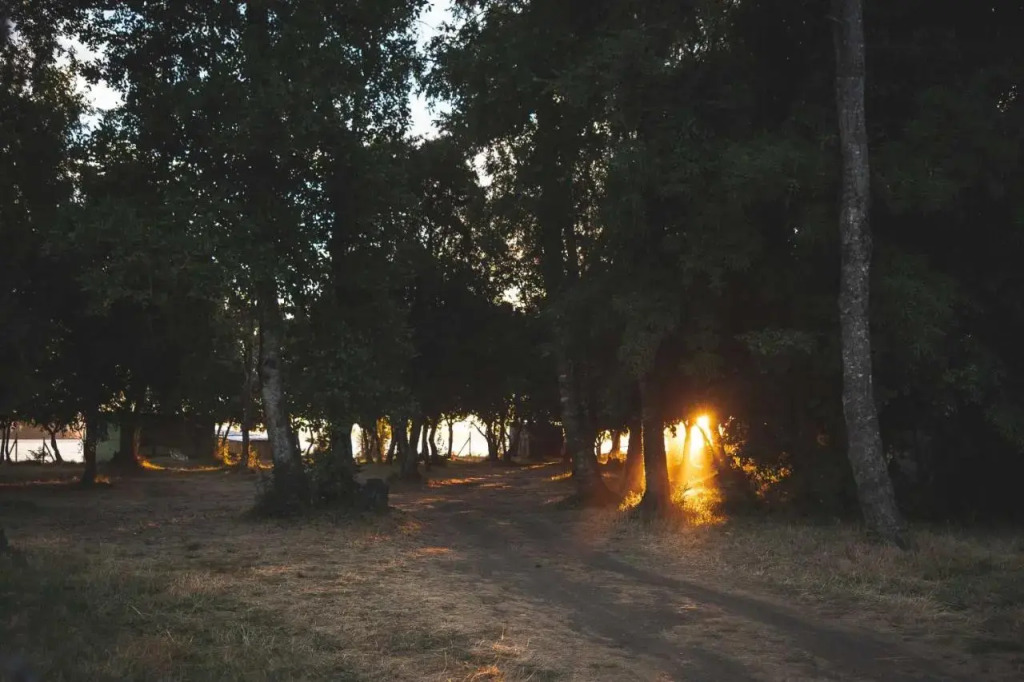 Cabañas Puerta del Lago