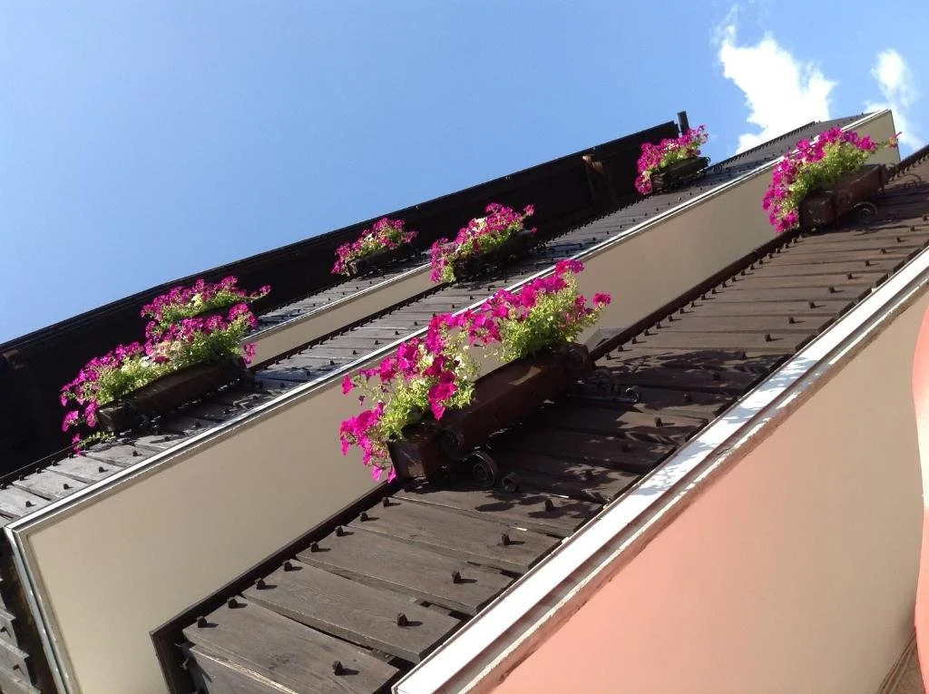 Gasthaus Oasis