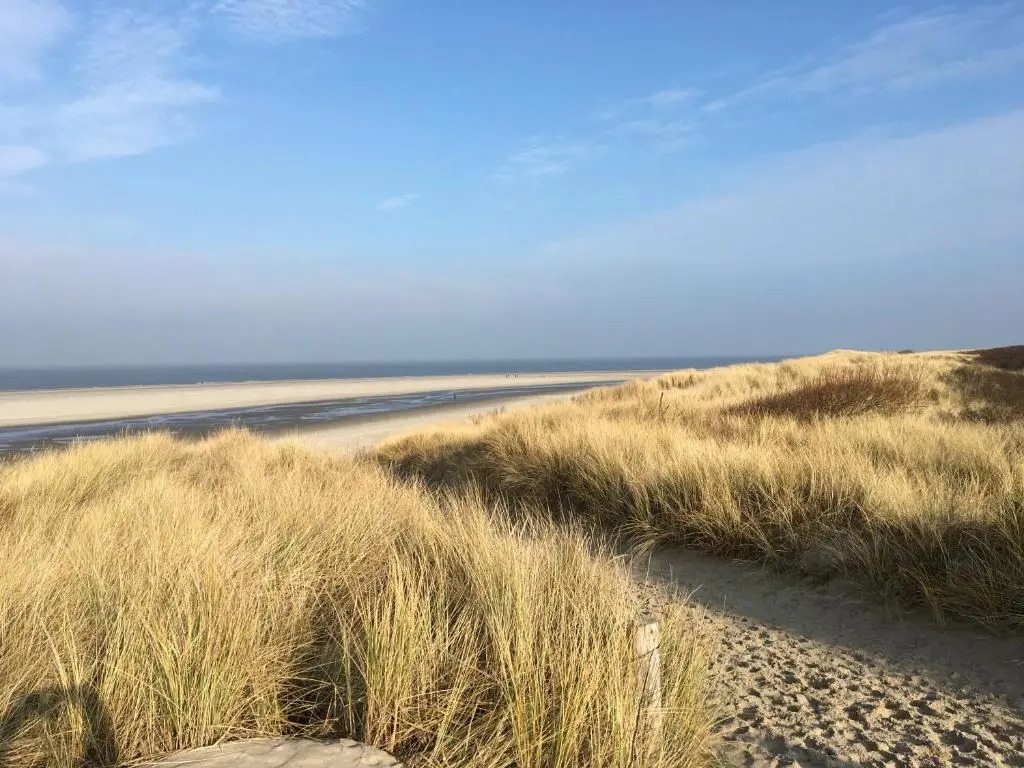 Verschmitzt am Meer