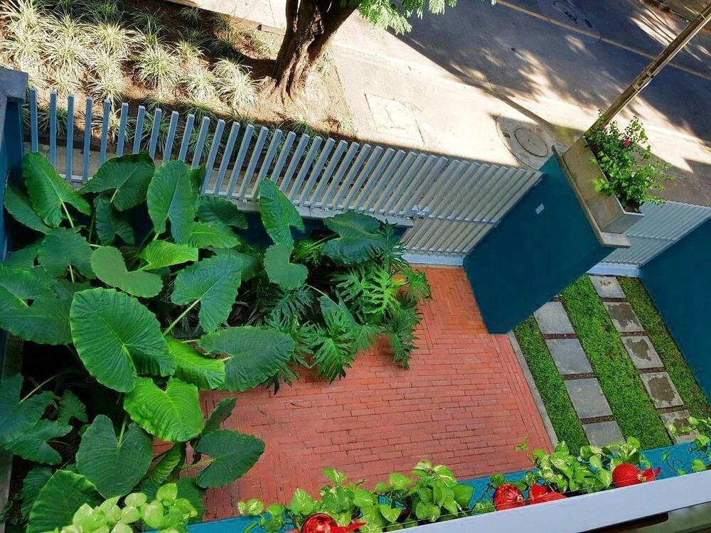 Oasis Cali Hostel
