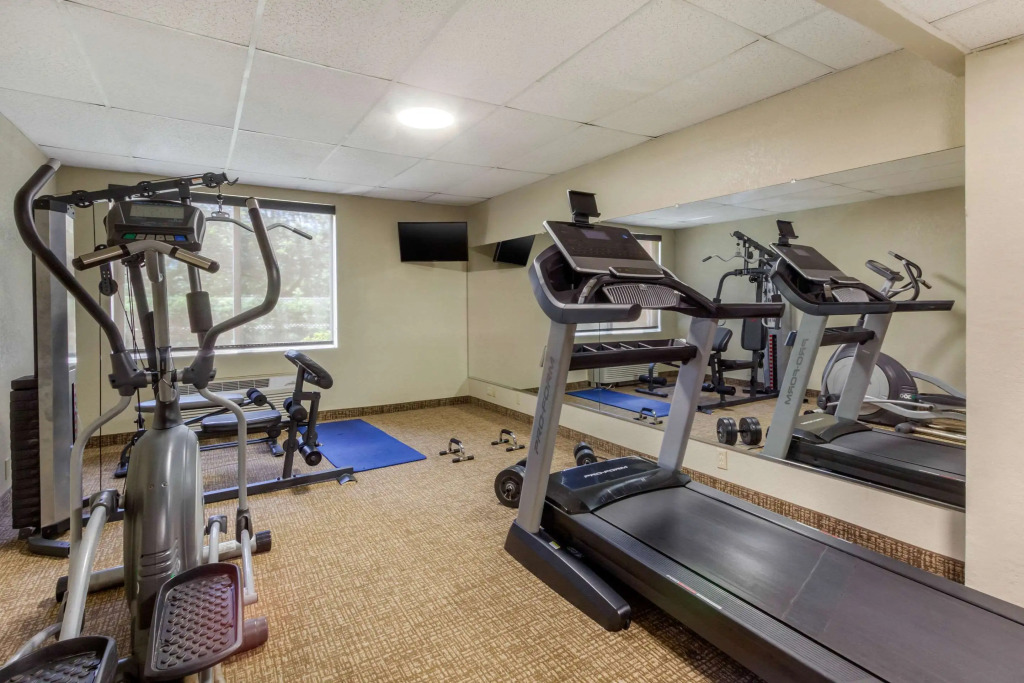 Comfort Inn St Petersburg North