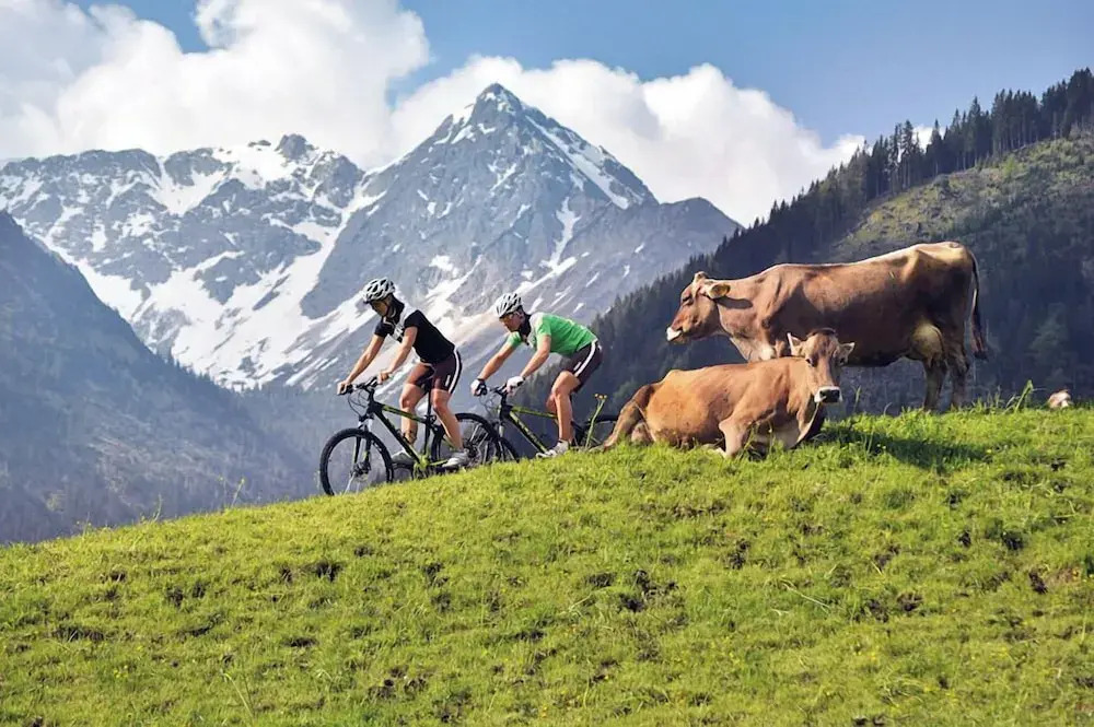 Alpin Chalets Oberjoch