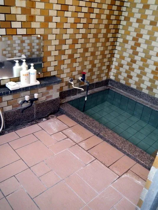 Kusatsu Onsen Watanuki Pension