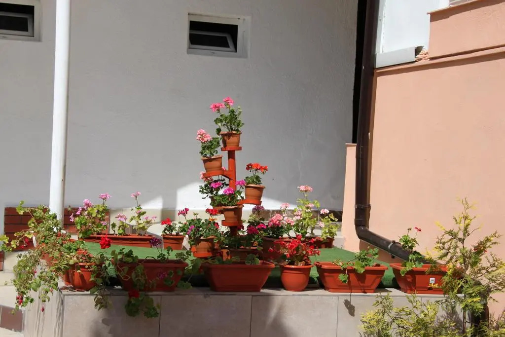 Pensiunea Casa Rusu