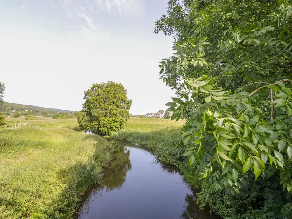The Ash View