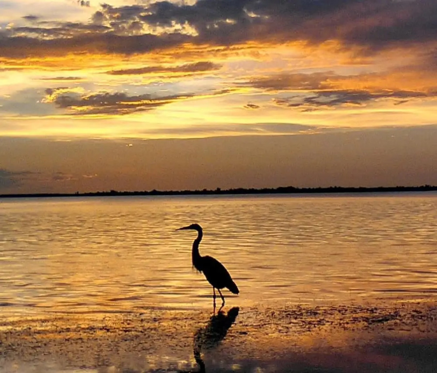 Sanibel Siesta on the Beach Unit 206 2 Bedrooms 2 Bathrooms Condo