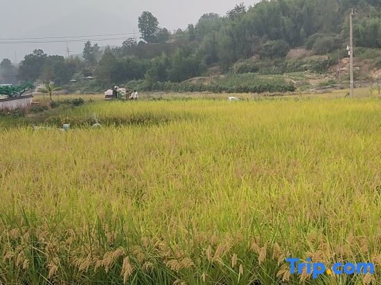Huxiao Gorge Rafting | Cilin Xiaozhu Mountain Residence Chinese Inn