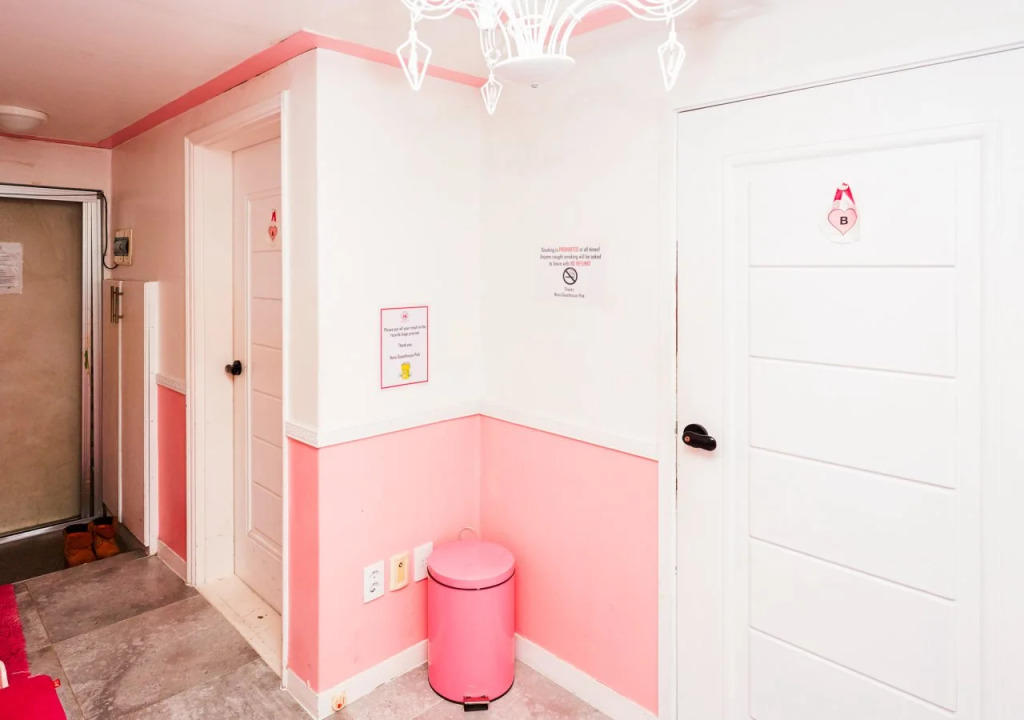 Nanu Guesthouse Pink Female Only (только для женщин)
