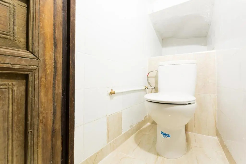 Earth Hostel