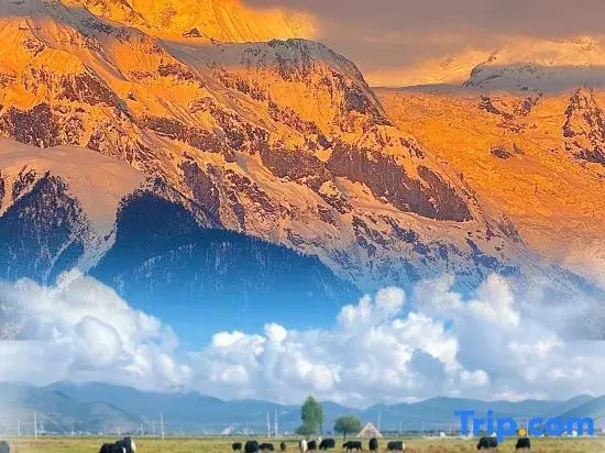 Grassland Snow Mountain Hotel