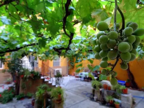 Apartment Olivar