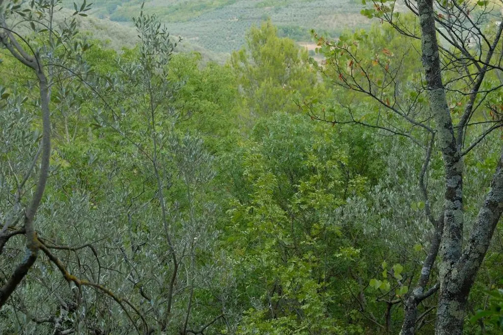 Agriturismo Il Casaletto