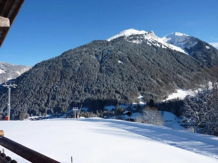 Chalet les Fys