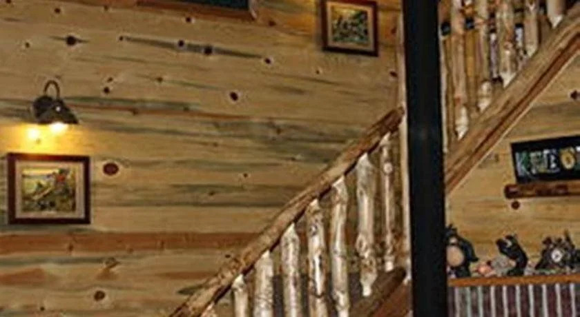 Bear In The Bed and Breakfast