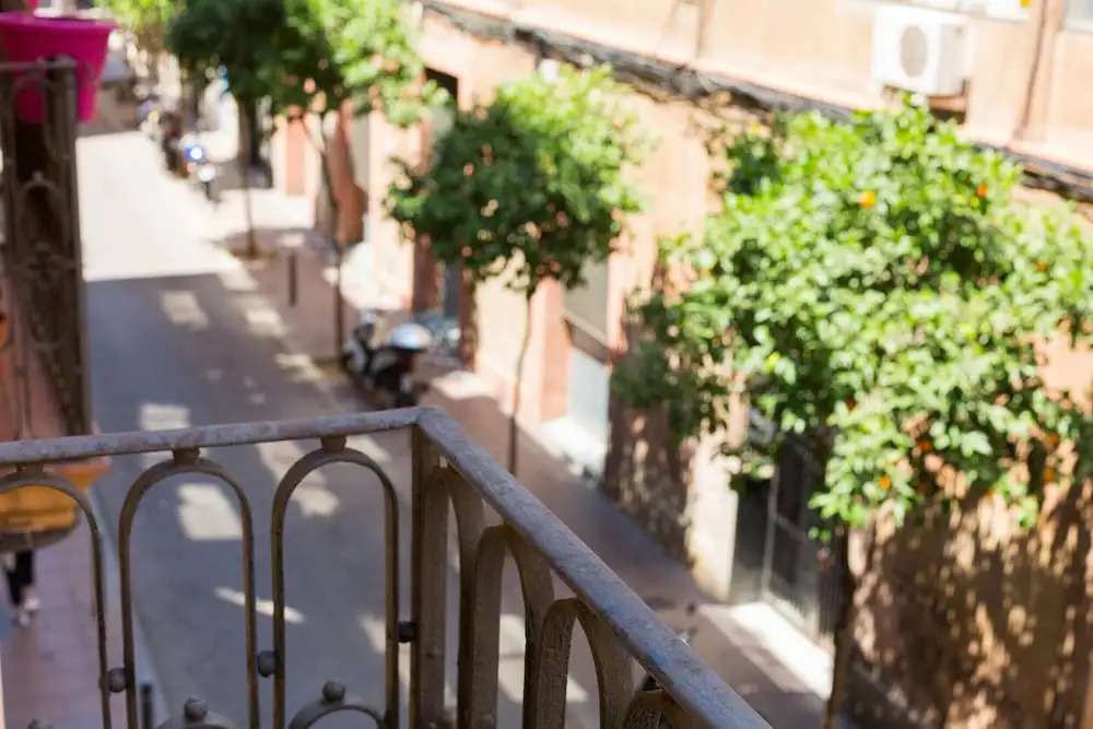 Gracia Sant Agusti