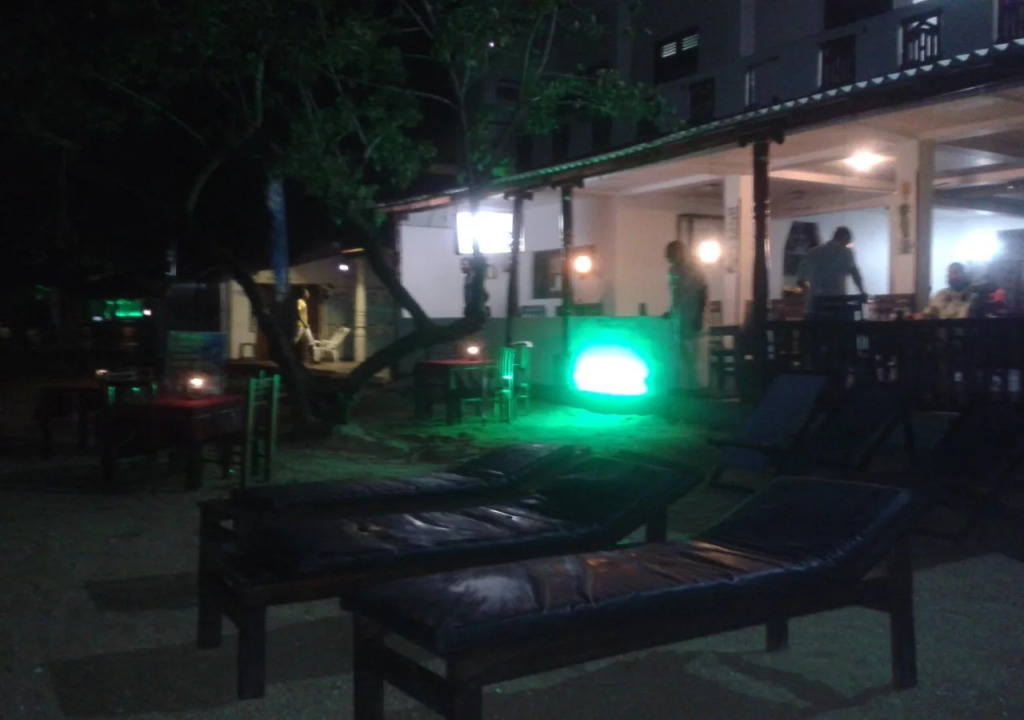 New Summer Garden