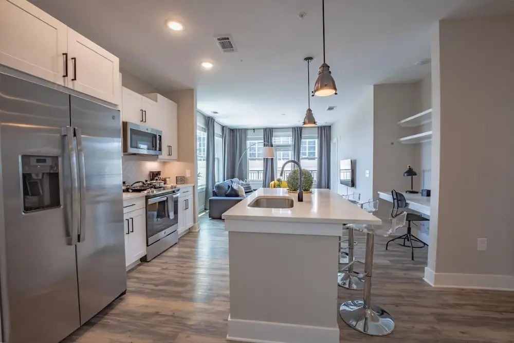 Luxurious 2 BR 2BR Downtown Apartment