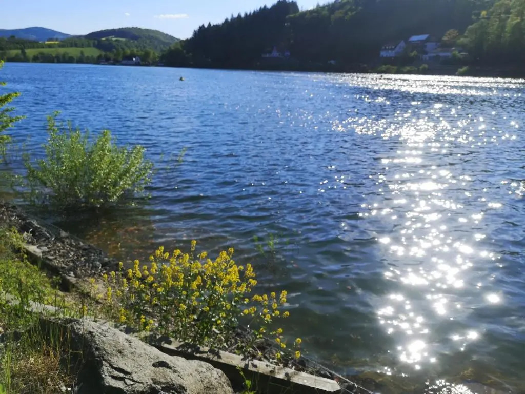 Top Ferienwohnung Am Diemelsee, Sauerland Nahe Willingen Winterberg