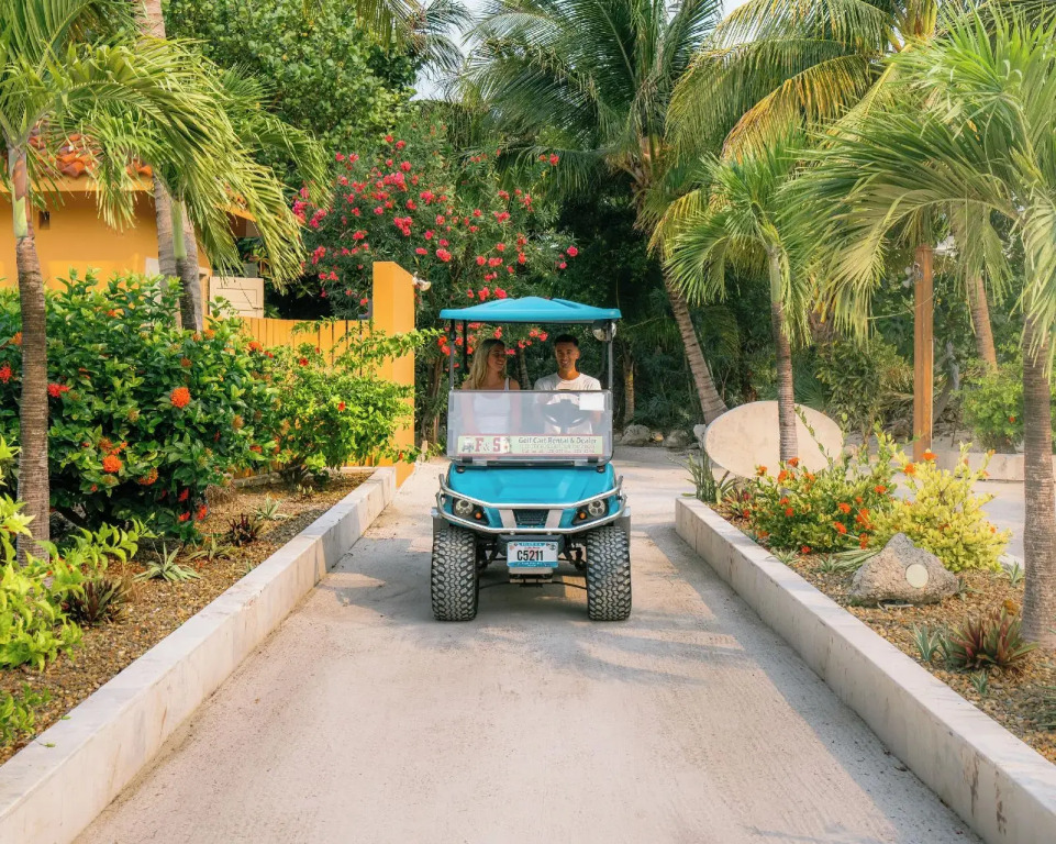 Belizean Cove Estates Beachfront Villas