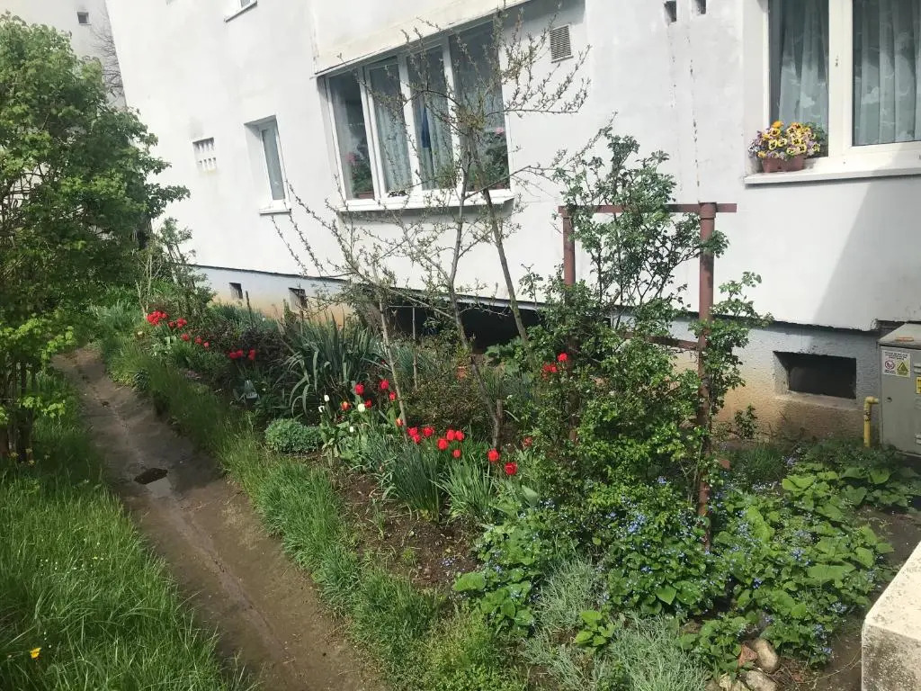 Apartament Colina