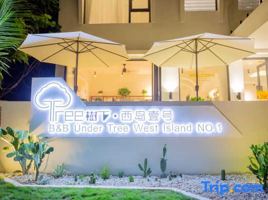 Shuxia · West Island No.1 Starry （Sea Island Camp Homestay）
