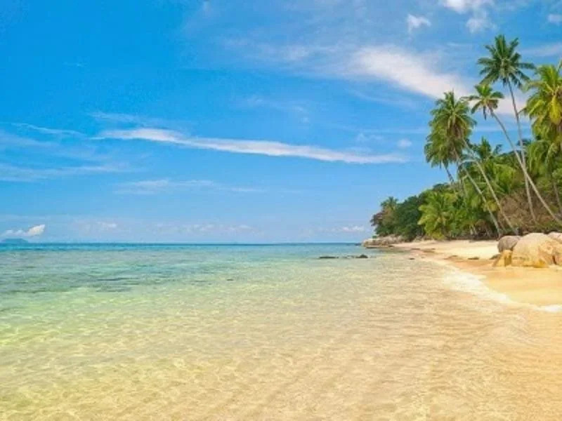 Roxana Holiday Inn