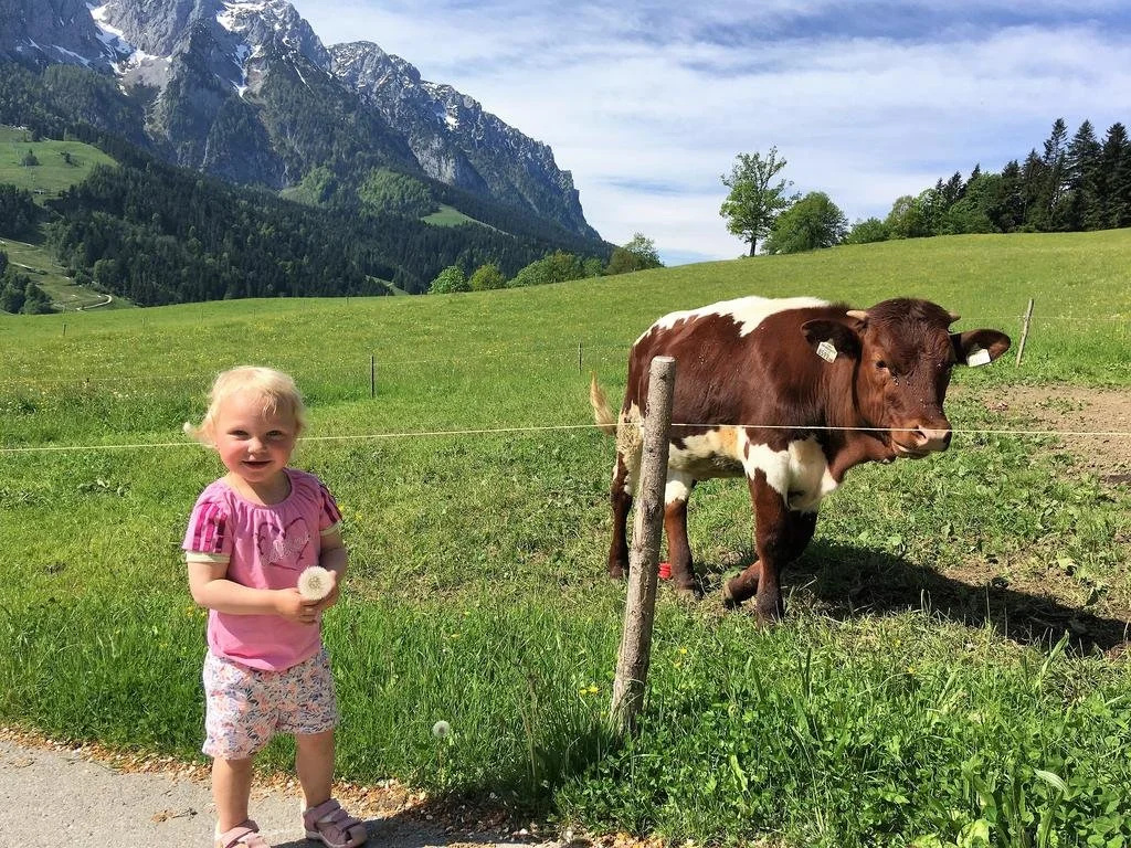 Steindlhof in Walchsee